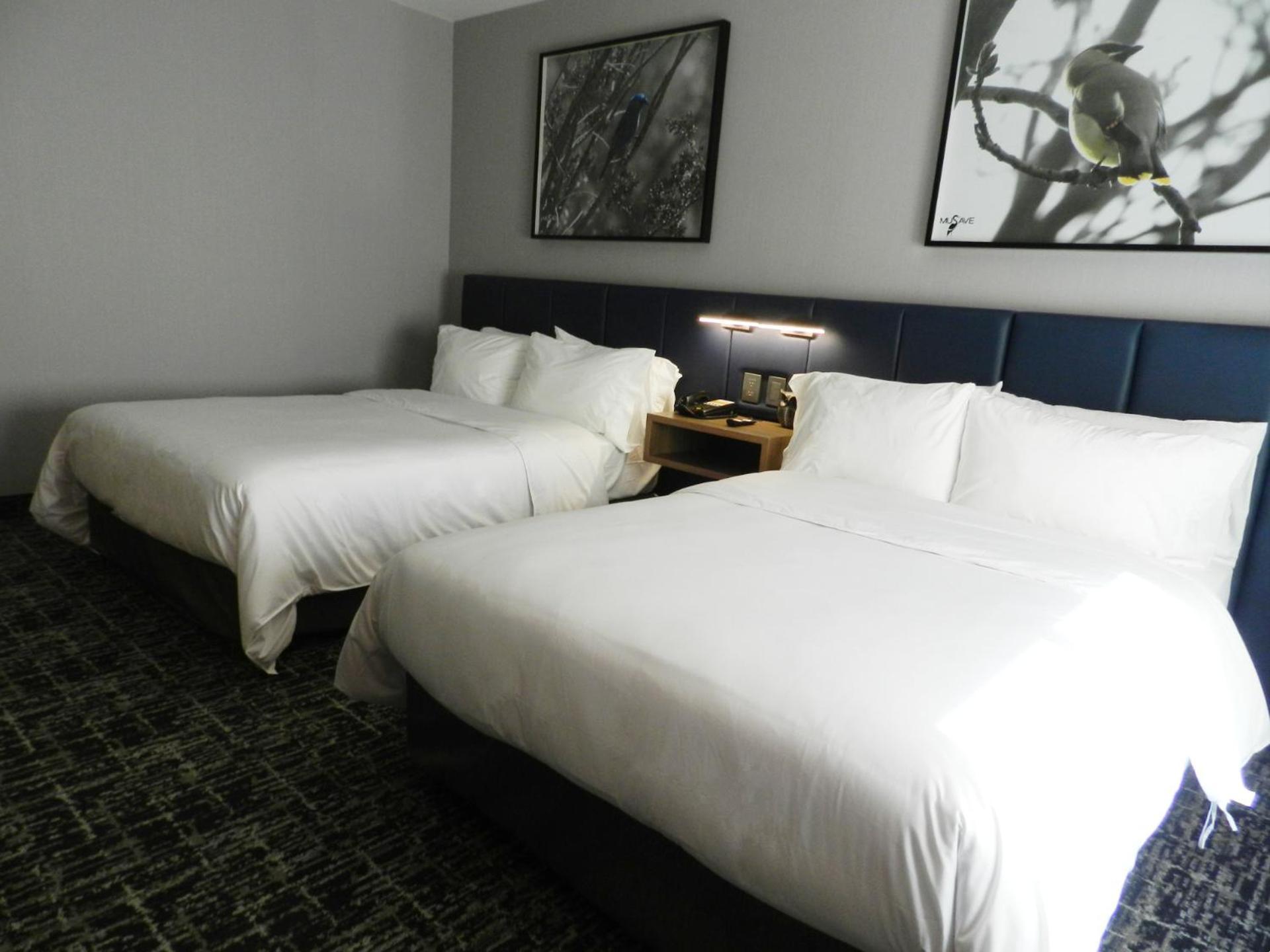 Voco Saltillo Suites By Ihg Zewnętrze zdjęcie