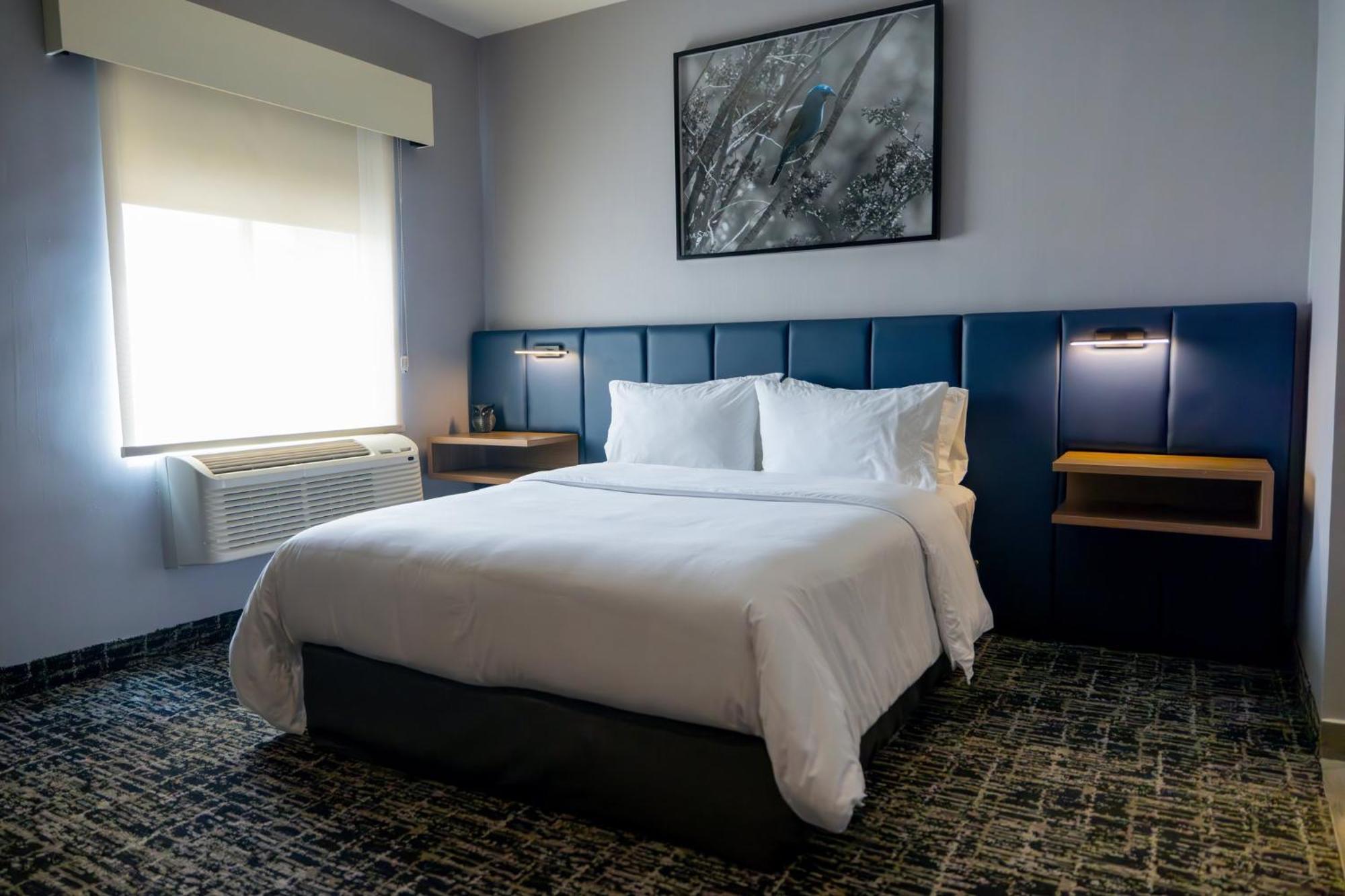 Voco Saltillo Suites By Ihg Zewnętrze zdjęcie