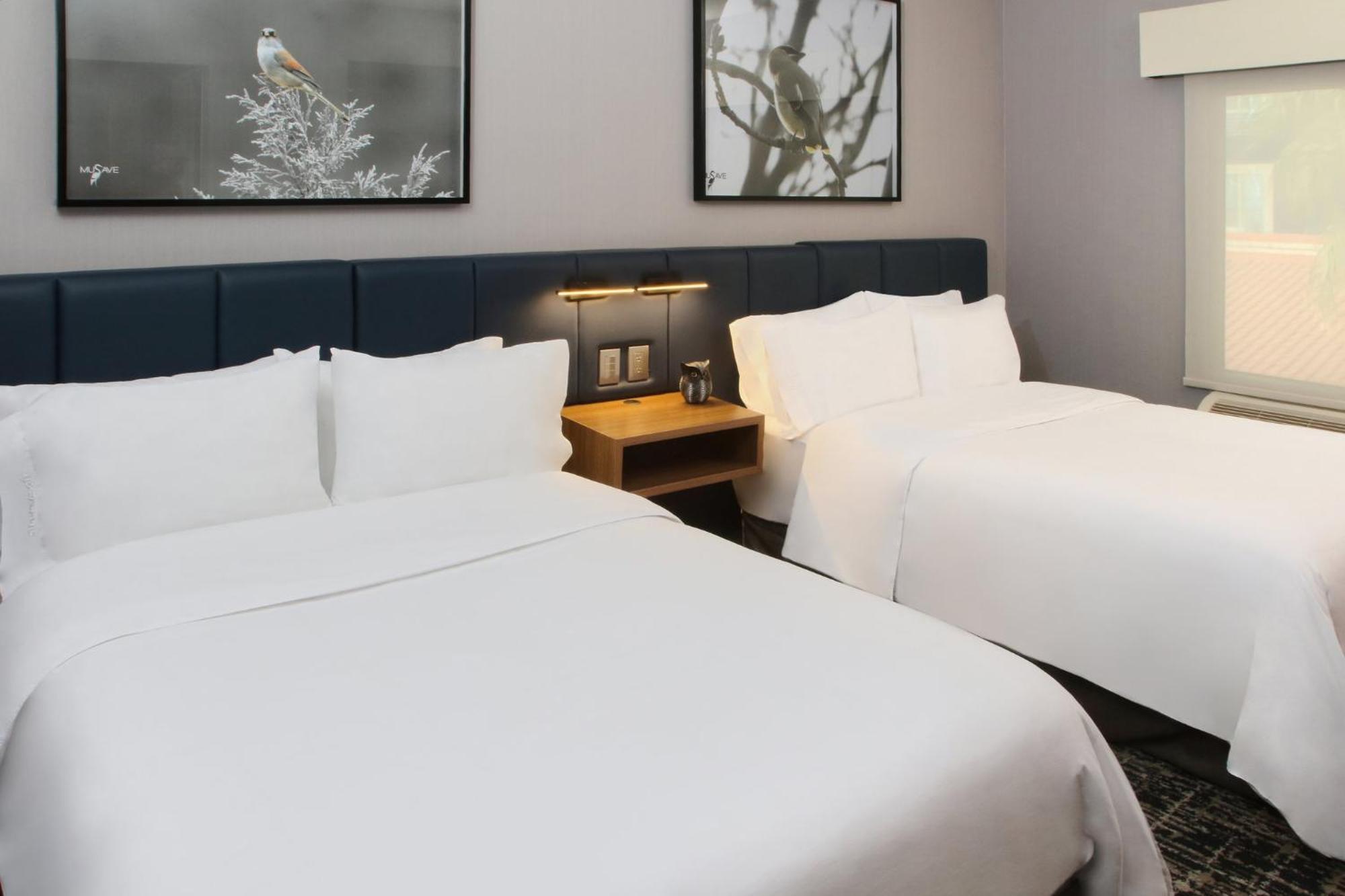 Voco Saltillo Suites By Ihg Zewnętrze zdjęcie
