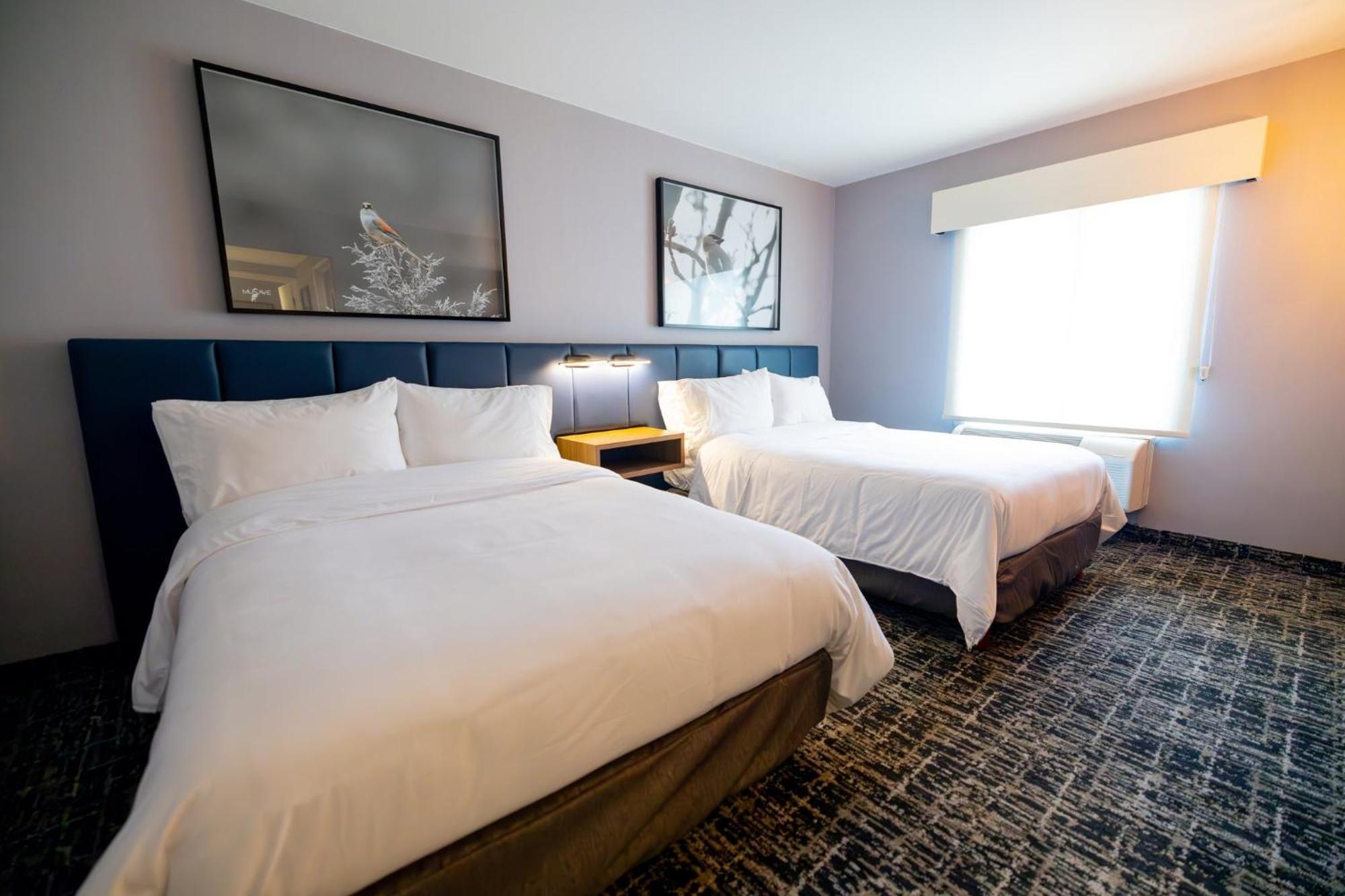Voco Saltillo Suites By Ihg Zewnętrze zdjęcie