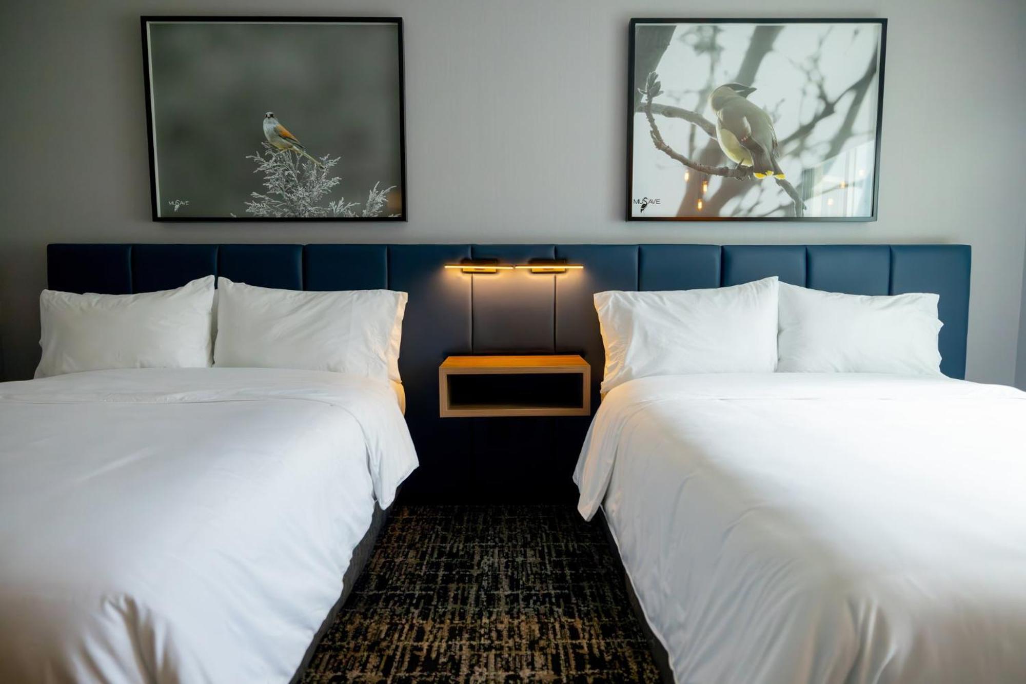 Voco Saltillo Suites By Ihg Zewnętrze zdjęcie